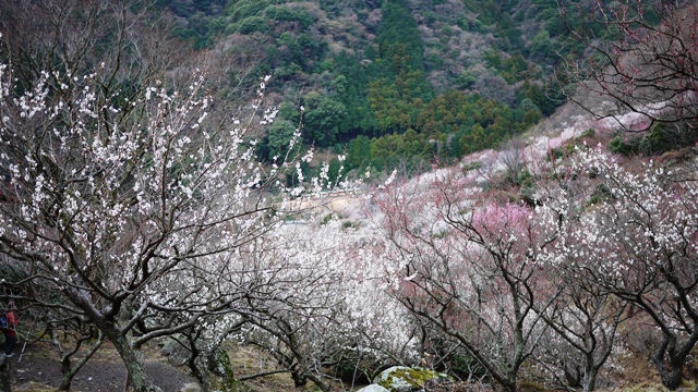 a0127090_1701132.jpg