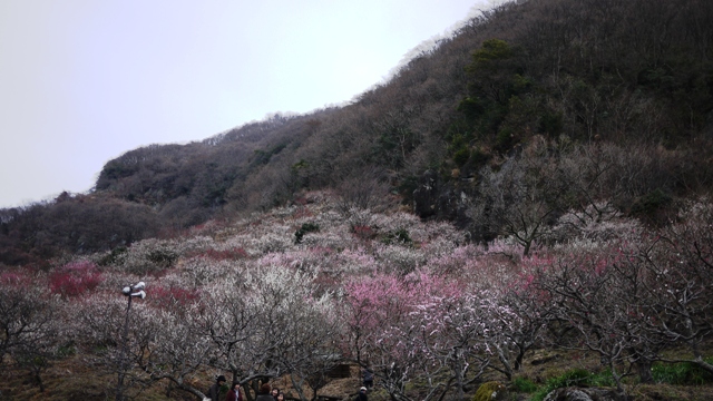 a0127090_17204094.jpg