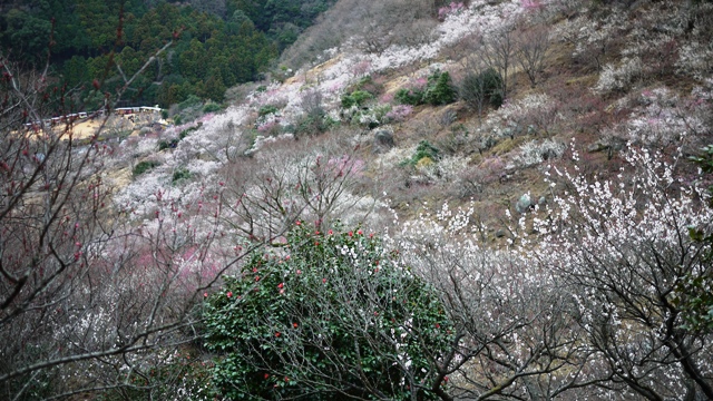 a0127090_1744269.jpg