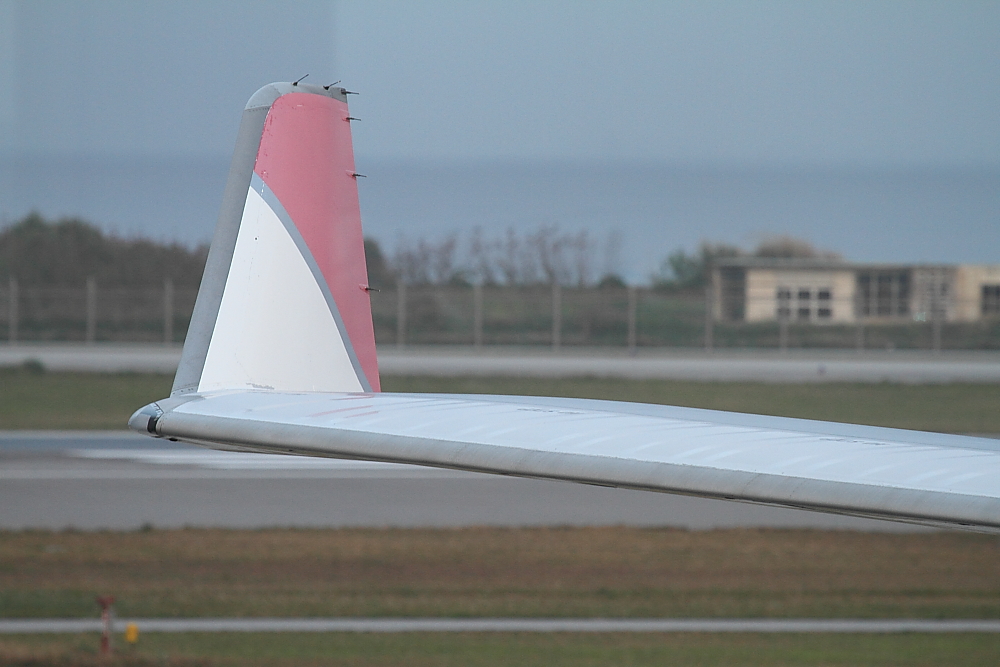 e0204891_2224545.jpg