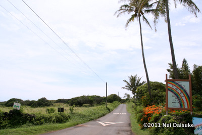 d0032693_21422448.jpg