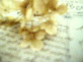 c0173697_15283388.jpg