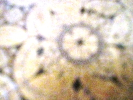 c0173697_1534110.jpg