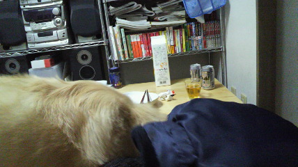 b0206300_17252077.jpg