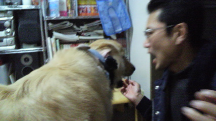 b0206300_17262738.jpg