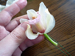 b0025301_9263421.jpg