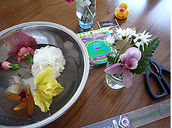 b0025301_9324544.jpg