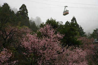 a0188405_1344188.jpg