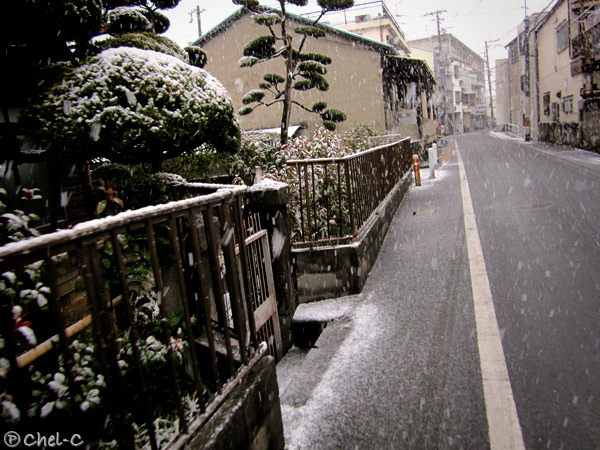 a0154706_185518.jpg