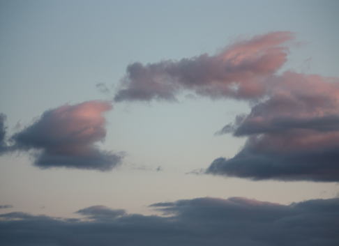 d0001008_20275389.jpg