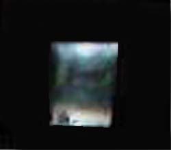 e0103408_23283342.jpg