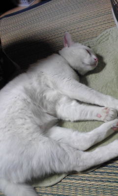c0180209_20144494.jpg