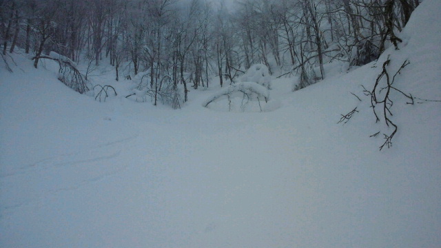 c0209409_2021447.jpg