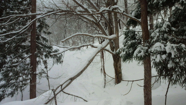 c0209409_20221718.jpg