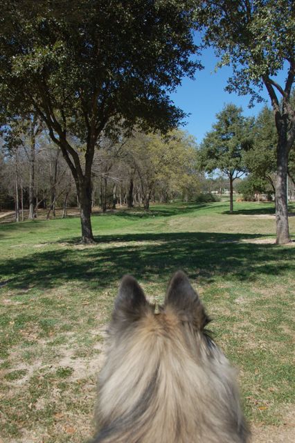 f0227709_05469.jpg