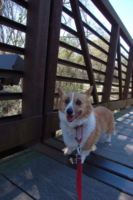 f0227709_067100.jpg
