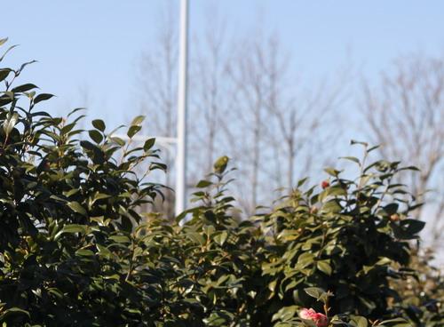 c0101713_1334558.jpg