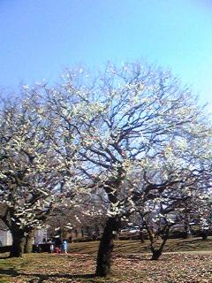 a0087015_10323656.jpg