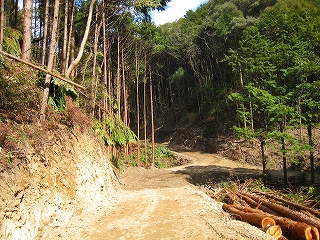 e0002820_2121027.jpg