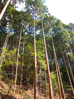 e0002820_21292827.jpg