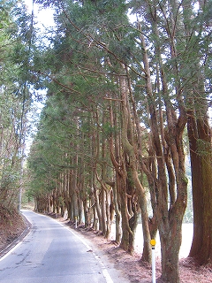 e0002820_21521539.jpg