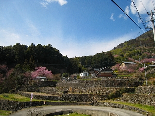 e0002820_21533388.jpg