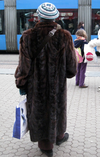 f0039021_130214.jpg
