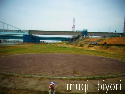 f0214121_912711.jpg