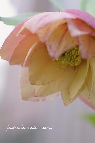 c0093830_175433100.jpg