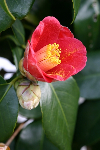 c0134734_038691.jpg