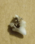 c0136736_1203682.gif