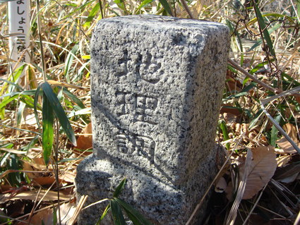 e0228938_2056830.jpg