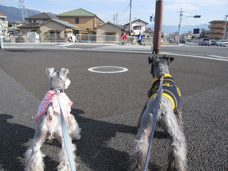 e0227139_1642420.jpg
