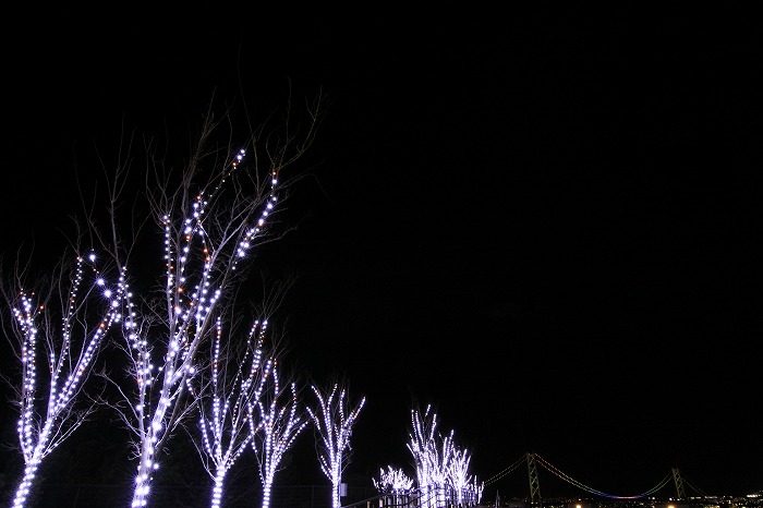b0168041_21585171.jpg
