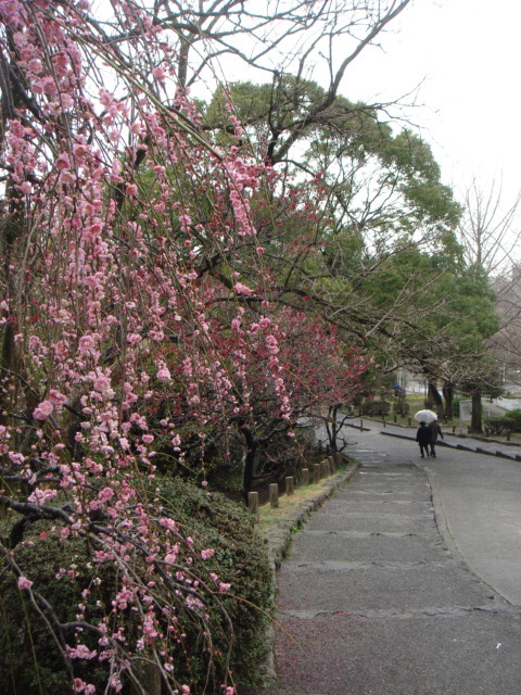 a0166745_22561511.jpg