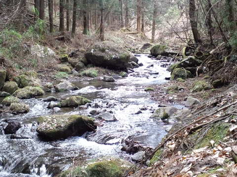 b0180946_20532620.jpg