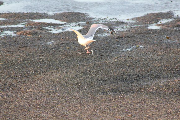 b0200747_12554462.jpg