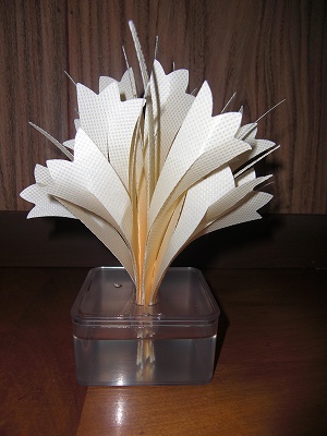 c0123748_1758740.jpg
