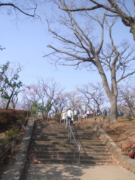 e0153367_21392710.jpg