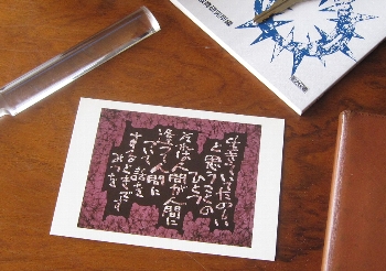 f0003283_1844979.jpg