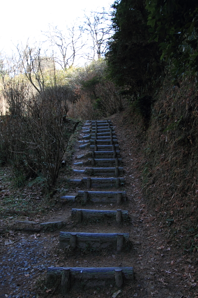 e0051888_22471690.jpg
