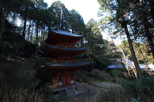 e0051888_224735.jpg