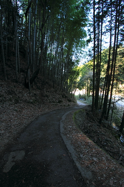 e0051888_22535223.jpg