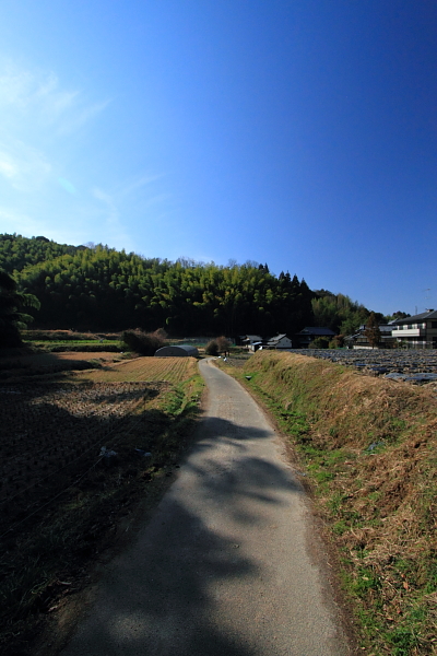 e0051888_2254294.jpg
