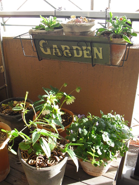c0227800_86465.jpg