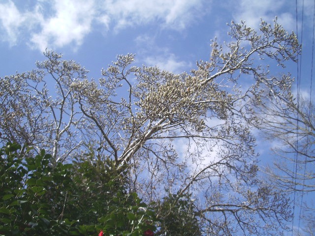 e0025300_16145692.jpg