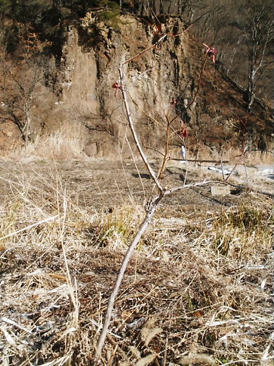 e0196604_1156507.jpg