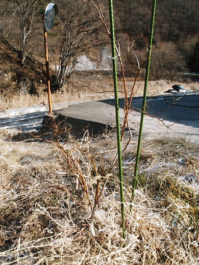 e0196604_11572458.jpg