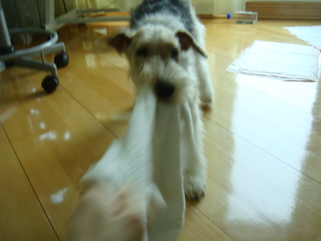 d0200406_124238.jpg