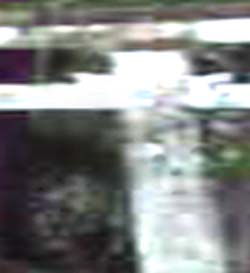 e0103408_14131945.jpg